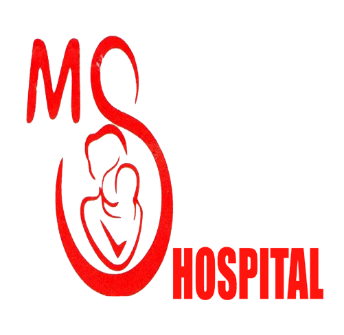 Theme Logo